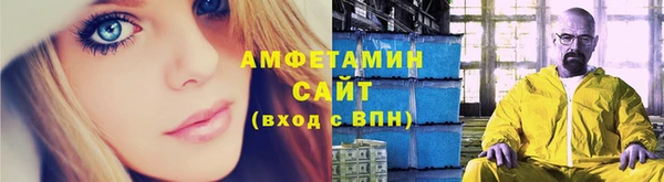 индика Алзамай