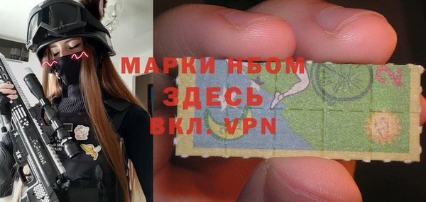 индика Алзамай