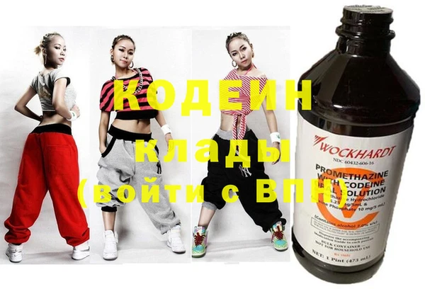 индика Алзамай