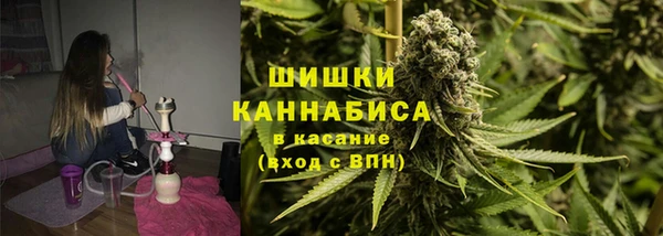 индика Алзамай