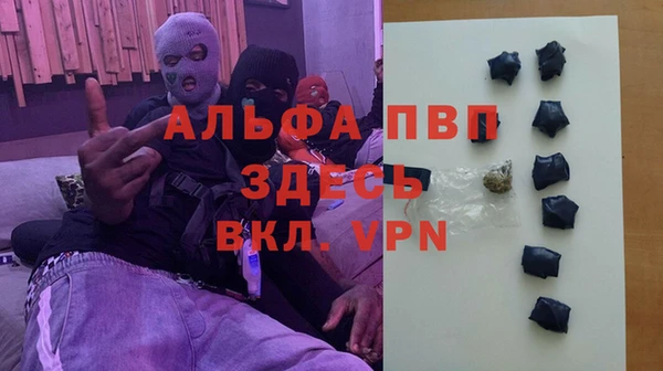 индика Алзамай
