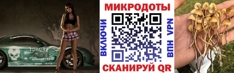 МЕГА сайт  Николаевск  Галлюциногенные грибы Cubensis 